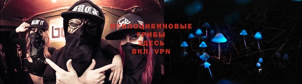 MESCALINE Переславль-Залесский