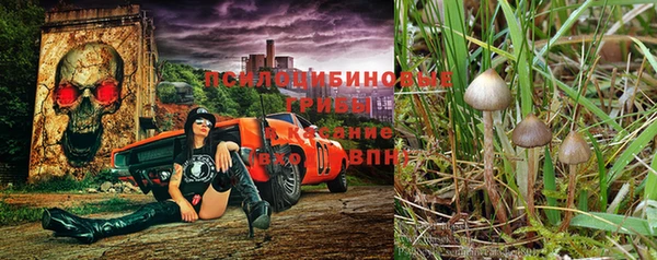 метадон Пересвет