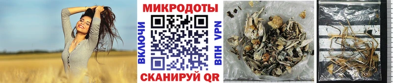 Купить где  Киселёвск  Галлюциногенные грибы Magic Shrooms 