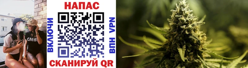 Купить закладки  Киселёвск  МАРИХУАНА THC 21% 